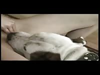 Sexy teen enjoying a big dog dick