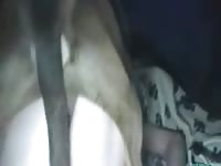 MILF got banged by canine dildo