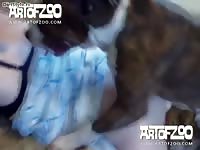 Art of Zoo Sveta Russian - Hot bitch art of zoo xxx with dog