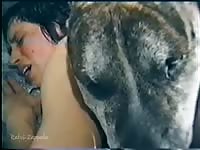 Matured beastie gal got showered with dog semen