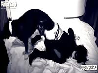 Art of Zoo Vixen - Brunette with dog on beastiality video