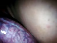 Amateur dog sex with a bitchy babe