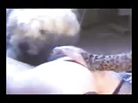 Furry pet porn with curvy slut