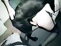 Animal porn video of young teen getting banged by dog