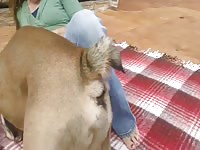 Beastiality compilation dogs banging sluts