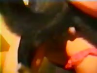 Big dog dick inside the pussy of a whore