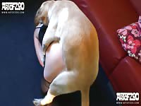 Art of Zoo AnnaLena in Honey Love - Dog xxx with their blonde owner