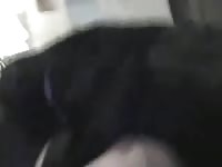 Zoo sex tv with a big ass slut