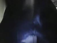 K9 dog sex on beast tubes