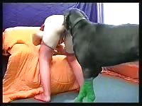 Teen beastiality got banged by a dog