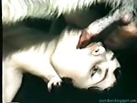 Two wives have sex with dog