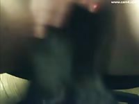 K9 lady got her pussy eaten