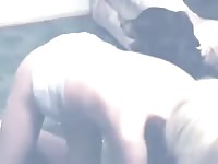Masked blonde sucking a dog cock