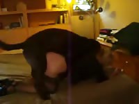 Force beastiality sex with a horny dog