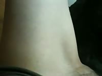 K9 lady getting her pussy eaten