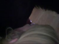 Beast tubes gathering dog semen