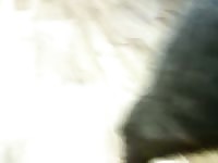Amateur dog sex with a slut