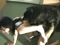 Pet porn with their sexy owners