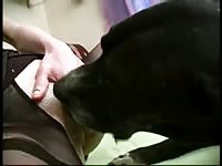 Black k9 sex with a MILF