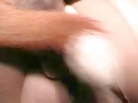 K9 knot tumblr with pet dog