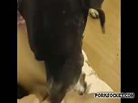 Beautiful teen animal sex with a dog