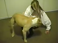 Hot dog sex with a busty babe