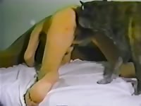 Naked slut on a hot dog porno