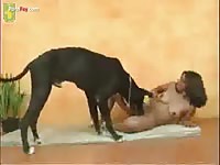 Hard dog cock fucks a teen beastiality lover