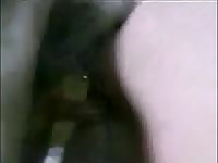 Furry pet porn with pet owner