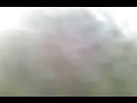 Zoophilia lover jacking off a horse
