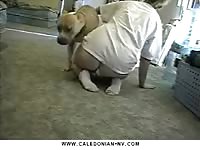 Angry owner wants to fuck with dog