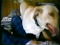 Beastie gal riding a huge dog cock