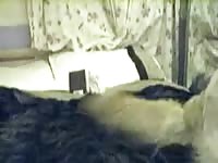 Big furry pet porn on the couch