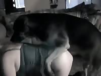 Teen animal sex with a big k9