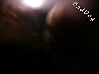 Amateur dog sex with a hairy pussy