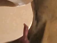Cute amateur beastiality lover had her pussy licked