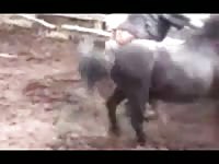 Farm xxx with a fat slut