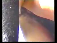 Animal dildo destroys a tight pussy 