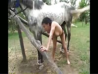 Teen rides a big horse dick