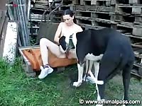 Pink dick fucks a shaved pussy beastiality taboo