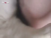 Animal sex with a horny gay