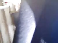 Horse xxx with a teen gay