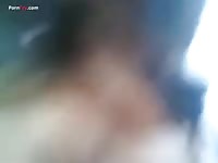 Messy homemade beastiality with gay