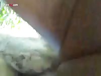 Animal sex videos with big dick