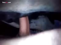 Mare beastiality porn film horse sex