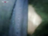 Animal sex with people mare beastiality