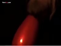 Free zoophilia videos of horse and man