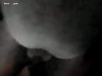 Horse creampie after a hot sex