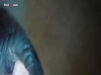 Gay beastiality stories cumming inside a horse