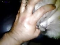 Old man fingering a pet porn